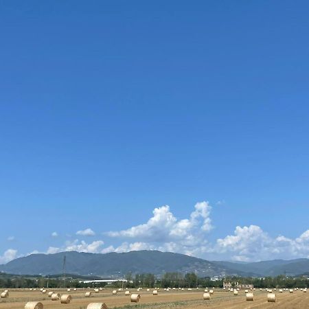Lucca Holiday Rental- By The Walls N 395 Екстер'єр фото