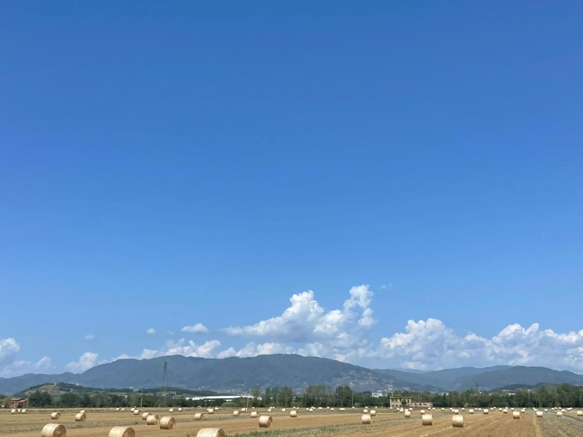 Lucca Holiday Rental- By The Walls N 395 Екстер'єр фото